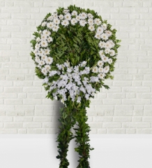 Beyaz Gerbera Cenaze Çelengi